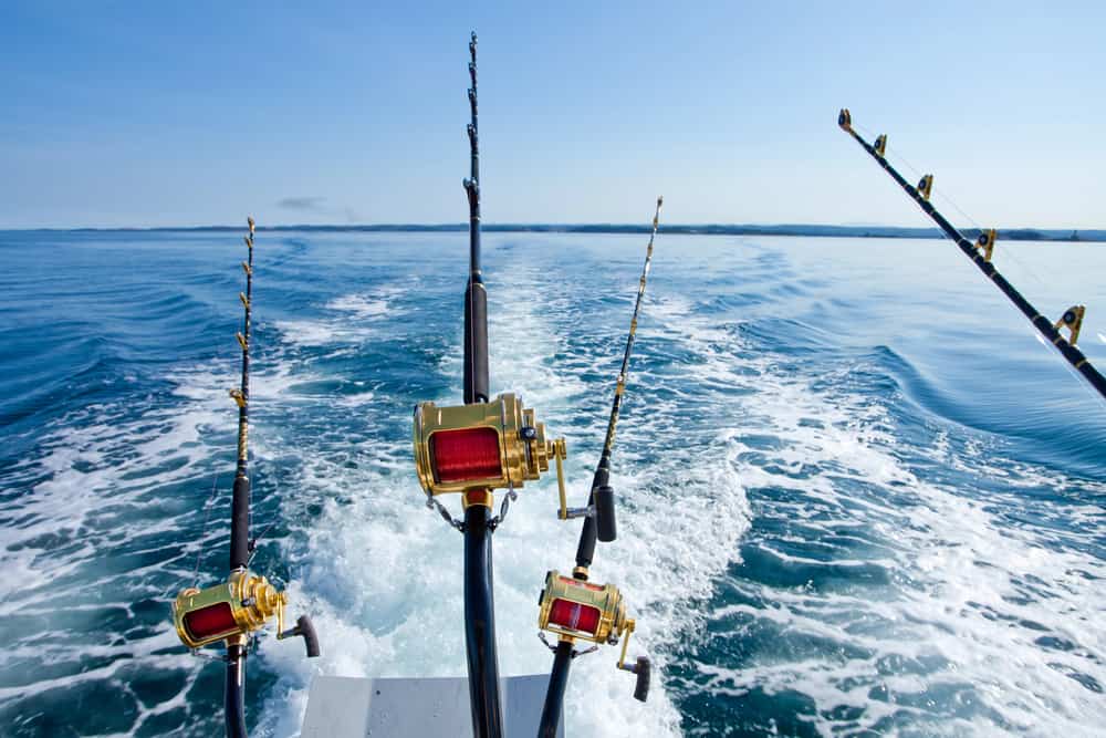 Understanding the saltwater fish limits in Texas is important for fisherman.