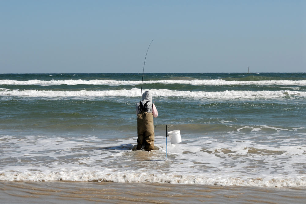 The saltwater fish limits in Texas vary by the species and type of fish. 