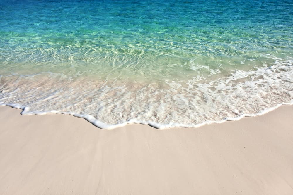 The Sailor’s Bible: Sailing the Gulf of Mexico