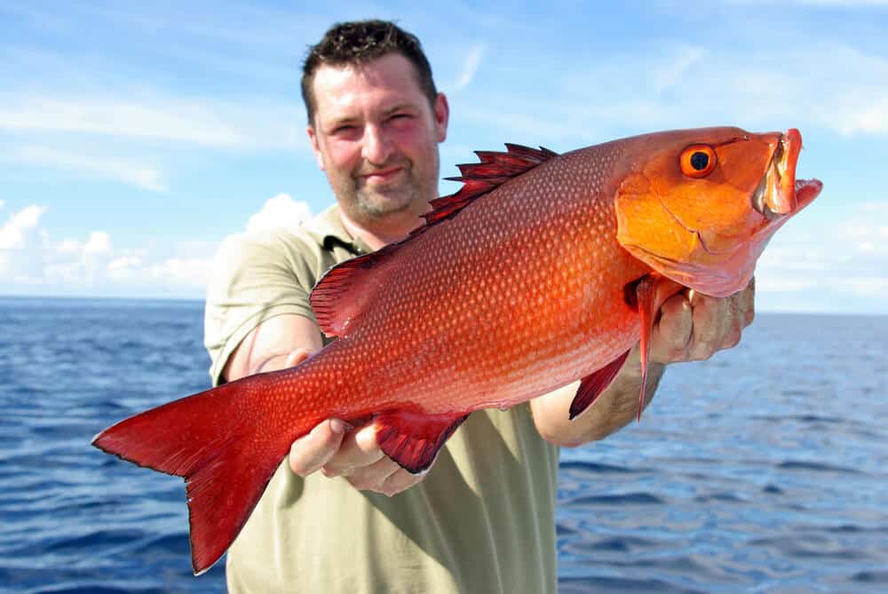 best fishing spots for red snapper near corpus christi marina texas
