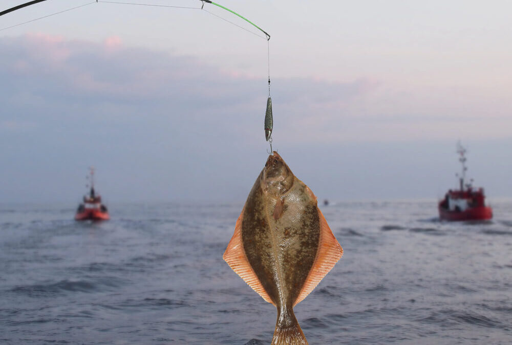 Flounder Fishing in Texas: Everything You Need To Know