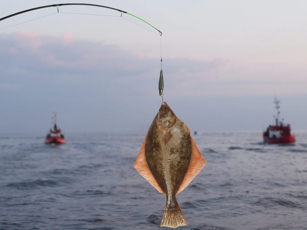 Can I go flounder fishing in Texas?